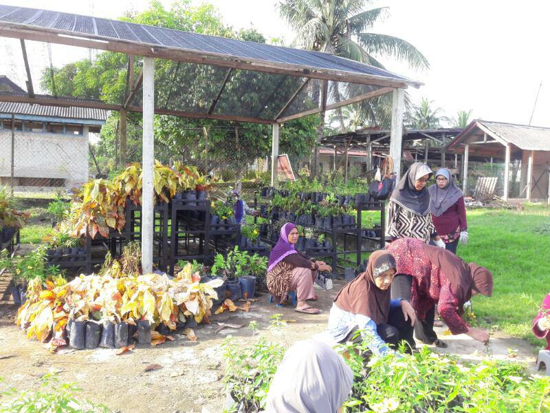 17884097 1431595620247097 6499660521806867255 n