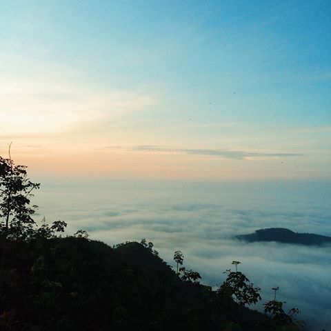 13385820_506291592892738_1540921818_n