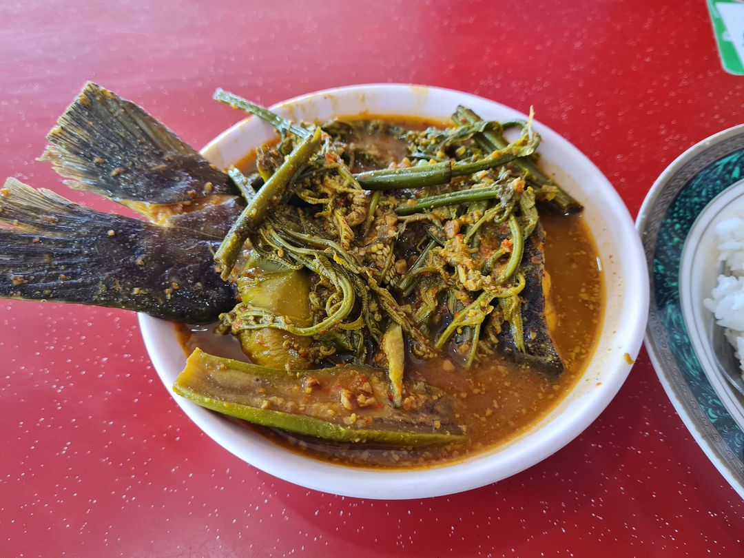 257478680 5179323465427926 6433928277828031440 n